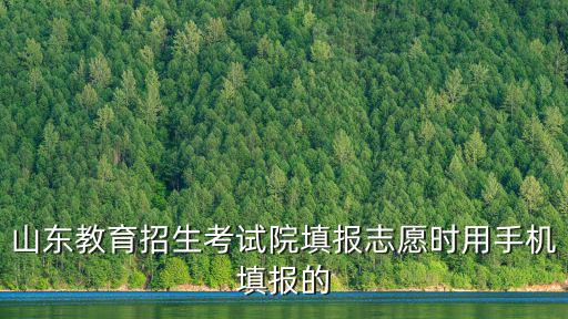 山東教育招生考試院填報(bào)志愿時(shí)用手機(jī)填報(bào)的