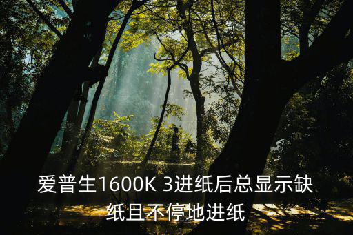 地缺4號線，愛普生1600K 3進紙后總顯示缺紙且不停地進紙