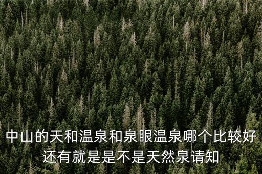 中山的天和溫泉和泉眼溫泉哪個比較好還有就是是不是天然泉請知