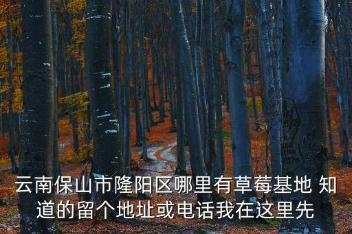草莓基地在哪里，云南保山市隆陽區哪里有草莓基地 知道的留個地址或電話我在這里先