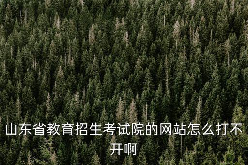 山東教育考試網(wǎng)，在山東教育招生考試院網(wǎng)站上怎么查詢考生的錄取進(jìn)度啊