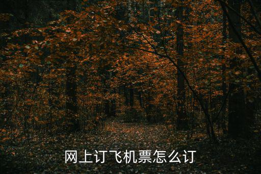 網上訂飛機票怎么訂