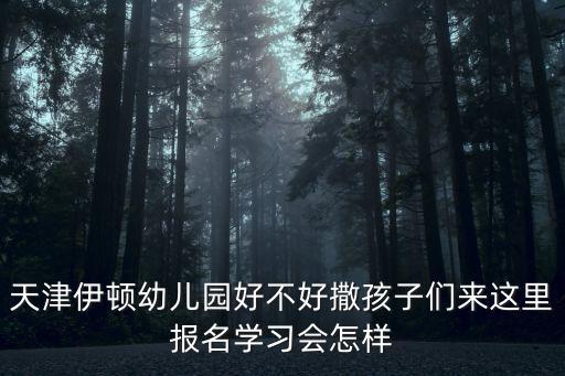 伊頓幼兒園，伊頓國際幼兒園總部怎么樣好不好的默認
