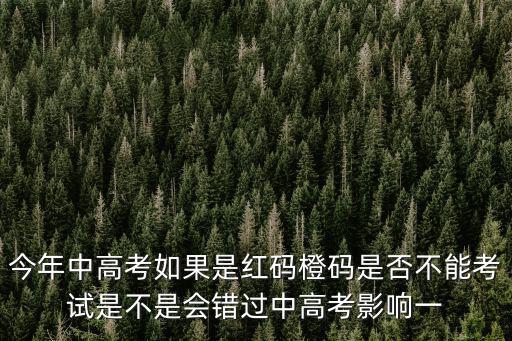 今年中高考如果是紅碼橙碼是否不能考試是不是會(huì)錯(cuò)過(guò)中高考影響一