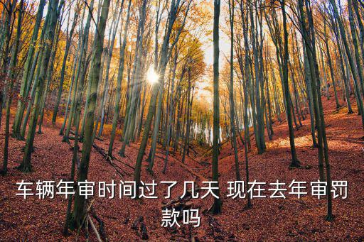 車輛年審時間過了幾天 現在去年審罰款嗎