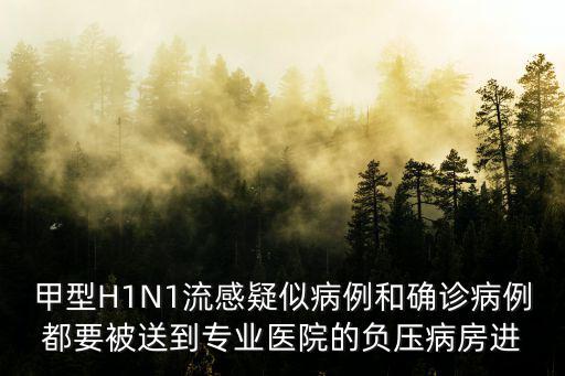 甲型H1N1流感疑似病例和確診病例都要被送到專業醫院的負壓病房進