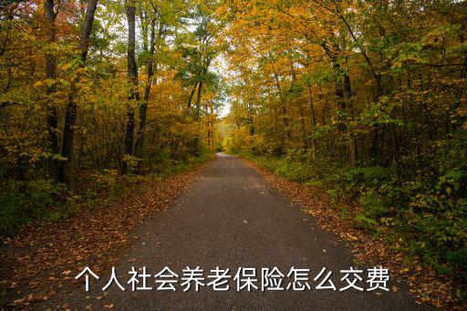 個人社會養老保險怎么交費