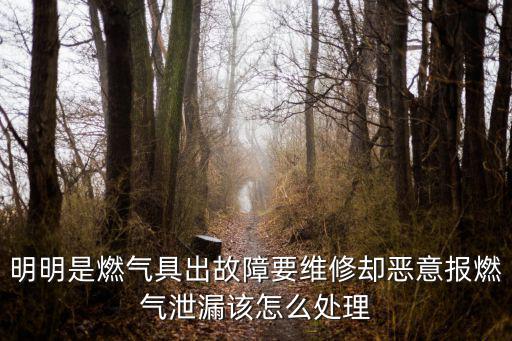 明明是燃氣具出故障要維修卻惡意報燃氣泄漏該怎么處理