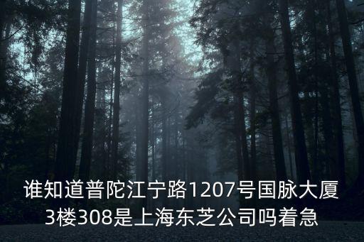 國(guó)脈大廈，誰知道普陀江寧路1207號(hào)國(guó)脈大廈3樓308是上海東芝公司嗎著急