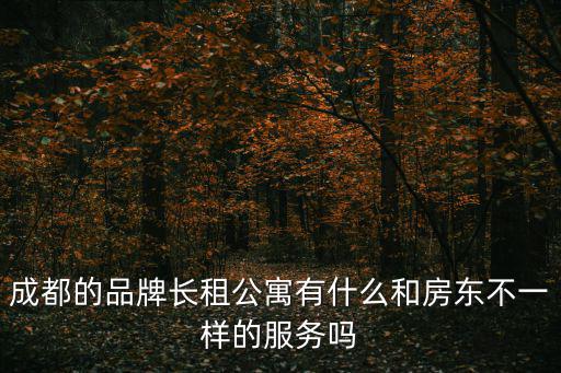 成都的品牌長(zhǎng)租公寓有什么和房東不一樣的服務(wù)嗎