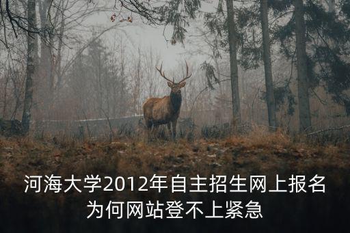 河海大學2012年自主招生網上報名為何網站登不上緊急