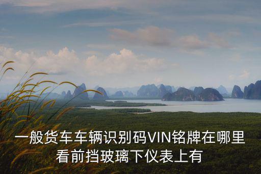 車輛識別碼，車輛識別代號是什么如何查詢車輛識別代碼