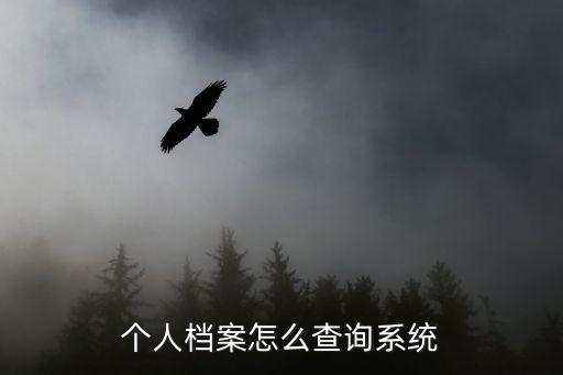 個人檔案怎么查詢系統