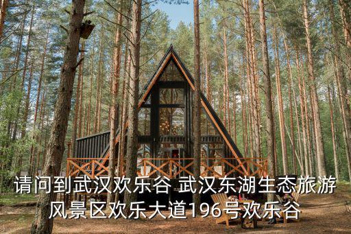 請問到武漢歡樂谷 武漢東湖生態旅游風景區歡樂大道196號歡樂谷