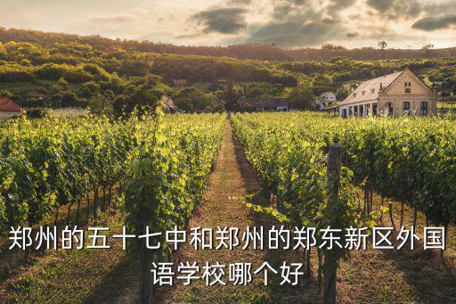 鄭州的五十七中和鄭州的鄭東新區外國語學校哪個好