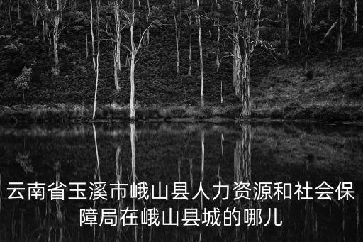 云南省玉溪市峨山縣人力資源和社會保障局在峨山縣城的哪兒