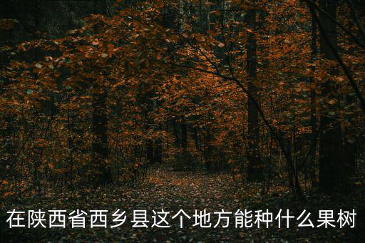西鄉櫻桃溝，在陜西省西鄉縣這個地方能種什么果樹