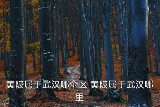 武漢黃陂區，黃陂屬于武漢哪個區 黃陂屬于武漢哪里