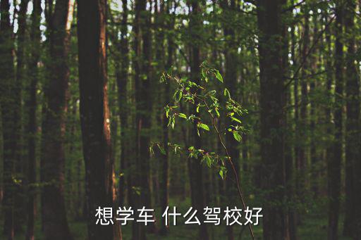 選駕校，我想學開車 但不知道怎么挑選駕校