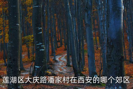 蓮湖區大慶路潘家村在西安的哪個郊區