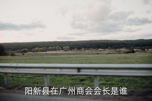 陽新縣在廣州商會會長是誰