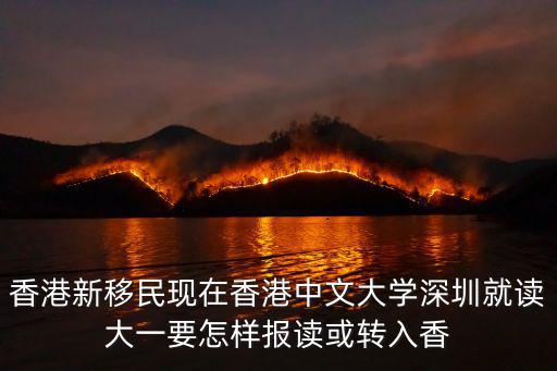 香港新移民現在香港中文大學深圳就讀大一要怎樣報讀或轉入香