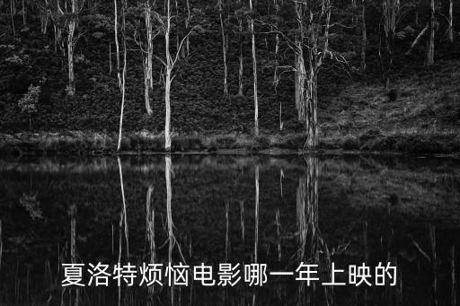夏洛特煩惱導演，夏洛特煩惱導演都有誰