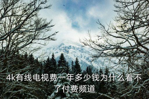 4k有線電視費一年多少錢為什么看不了付費頻道
