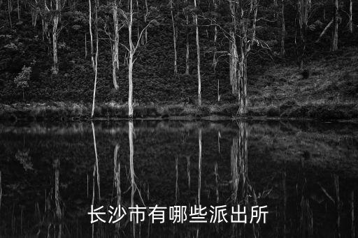 長沙市有哪些派出所