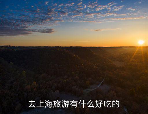去上海旅游有什么好吃的