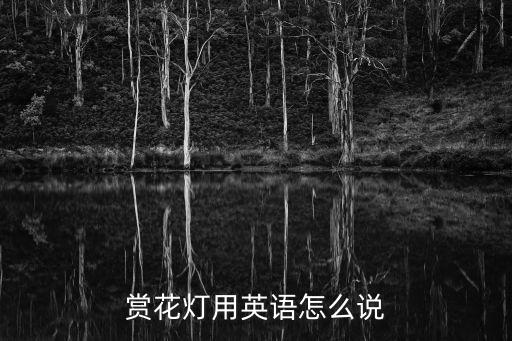 賞花燈用英語怎么說