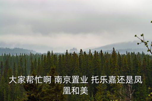 大家幫忙啊 南京置業 托樂嘉還是鳳凰和美