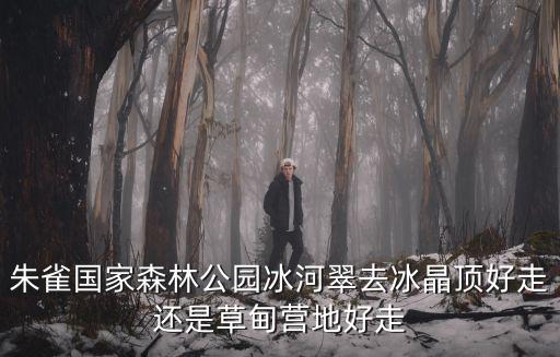 朱雀國家森林公園冰河翠去冰晶頂好走還是草甸營地好走