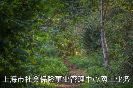 上海市社會保險事業(yè)管理中心網(wǎng)上業(yè)務(wù)