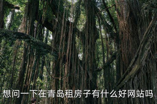 想問一下在青島租房子有什么好網站嗎