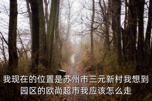 我現在的位置是蘇州市三元新村我想到園區的歐尚超市我應該怎么走