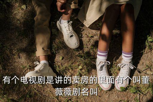 有個電視劇是講的賣房的里面有個叫董薇薇劇名叫