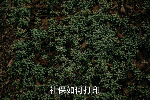 社保打印，社保打印個人繳存明細在哪打印