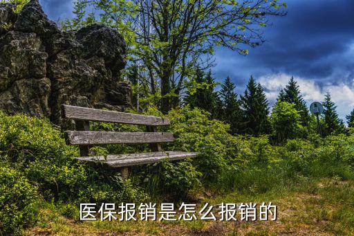 醫保報銷是怎么報銷的