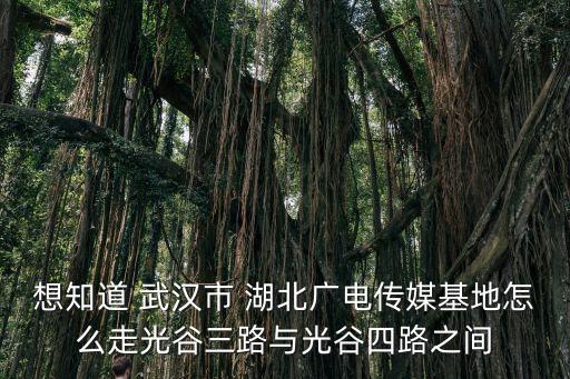 光谷三路，從光谷廣場怎么做地鐵到漢口將軍三路