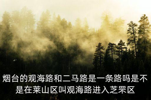 煙臺的觀海路和二馬路是一條路嗎是不是在萊山區叫觀海路進入芝罘區