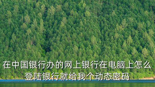 在中國銀行辦的網上銀行在電腦上怎么登陸銀行就給我個動態密碼