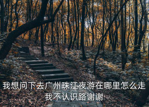 我想問下去廣州珠江夜游在哪里怎么走我不認識路謝謝