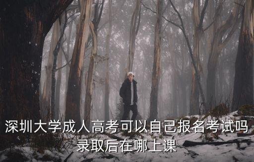 深圳大學成人高考可以自己報名考試嗎錄取后在哪上課