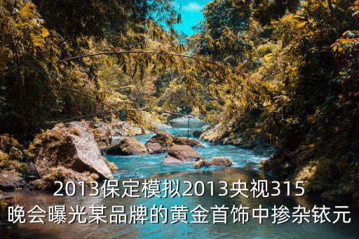2013保定模擬2013央視315晚會曝光某品牌的黃金首飾中摻雜銥元