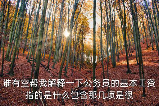 誰有空幫我解釋一下公務員的基本工資指的是什么包含那幾項是很
