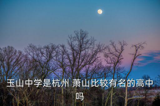 玉山中學(xué)是杭州 蕭山比較有名的高中嗎