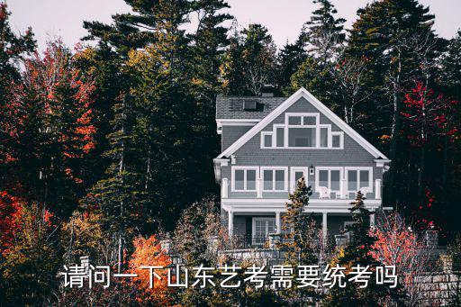 山東藝考，請問一下山東藝考需要統(tǒng)考嗎