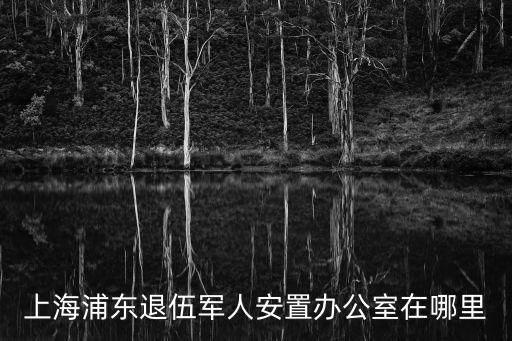 上海浦東退伍軍人安置辦公室在哪里