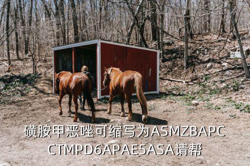 smzb，有個(gè)凱爾特?fù)u滾風(fēng)格的中國樂隊(duì)